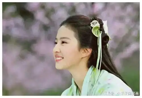 刘亦菲一年的收入,大概是多少钱