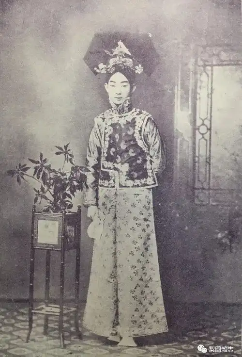 谭梅坐宫结下梁子
