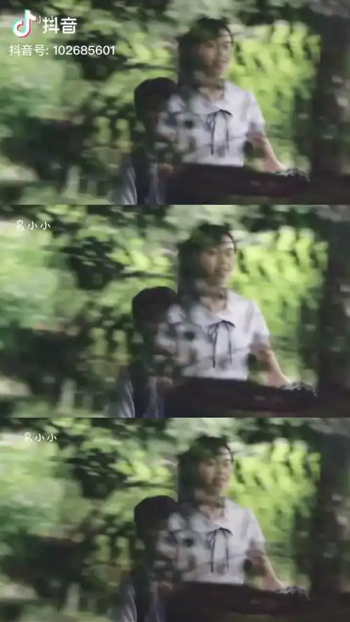 如何评价电影夏有乔木雅望天堂
