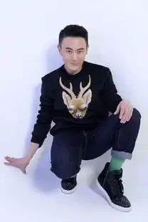 复合大师即将开播李解变身陈赫亲姐夫
