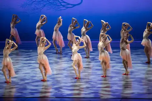 十年了,舞剧朱鹮为何常演不衰
