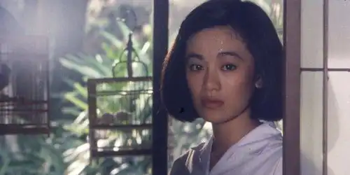 一个澳大利亚人杜可风洋为中用,拍出了令人向往的老上海风光
