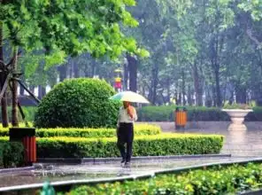 这个春天让人穿越了四季本周河南将逐步回暖
