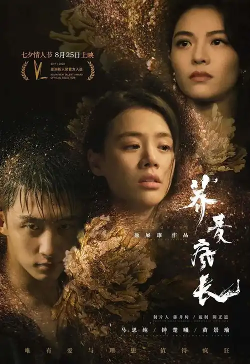 怎样度过一个实用又不失浪漫的七夕