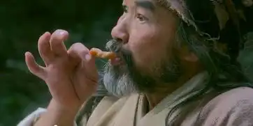 舌尖上的射雕英雄传之大厨黄蓉