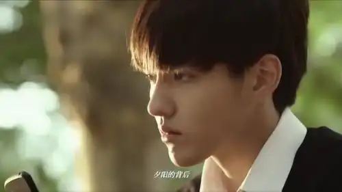 夏有乔木雅望天堂吴亦凡听到雅望韩庚在一起,瞬间落寞心疼他
