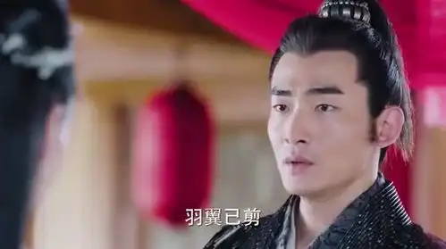 孤芳不自赏王爷终于娶到王妃,却不知娉婷恨他入骨,在嫁衣上
