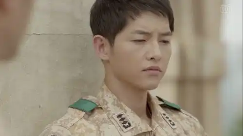 如何评价电视剧太阳的后裔
