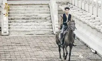 古装剧缺席,原创重回主流,2019年卫视片单透露哪些信息