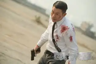 风暴炸中环再造港片
