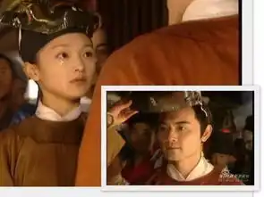 32岁被李安捧红,他令周迅神魂颠倒,却在开封府中变身护子狂魔