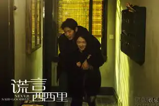 谎言西西里8月9日上映
