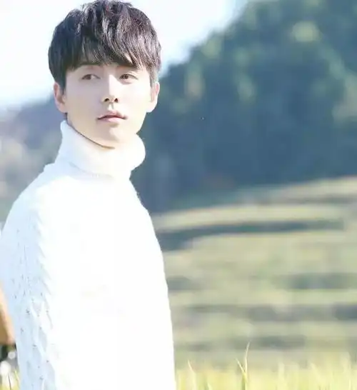 凉生,我们可不可以不忧伤撒狗血结局意料之外却又在情理之中