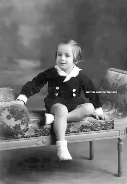 他是风流佐罗,曾抛弃茜茜公主,与3只狗孤独终老