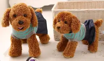 我想在家加工毛绒玩具有外放的吗