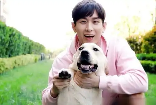 琉璃云歌会,广大剧迷希望做到的是温暖美好,而成毅做了什么呢