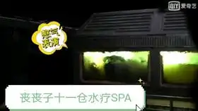 重启2919花絮宠粉日常
