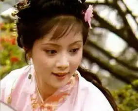 一部红楼梦,把我和母亲一起变成了他的迷妹
