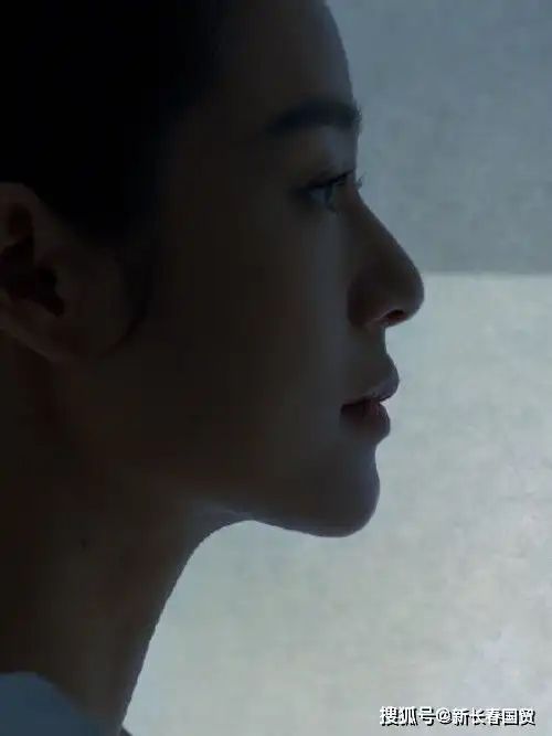 姜文42岁妻子近照曝光,微施粉黛复古红唇气质好
