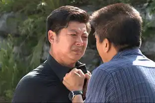 龙门村的故事剧照