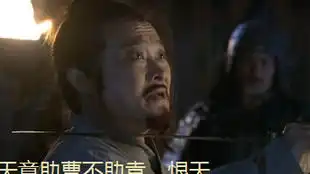 新三国恨天田丰
