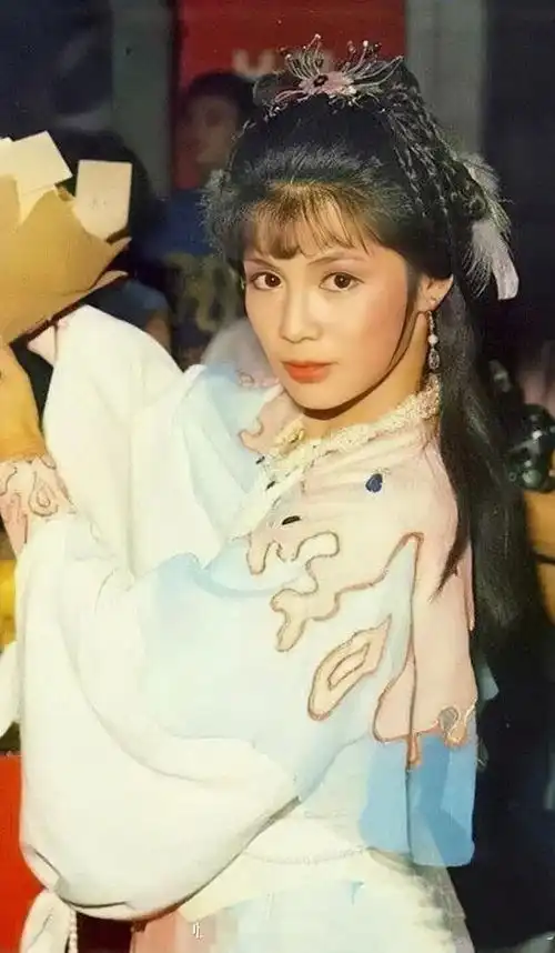 翁美玲射雕英雄传剧照
