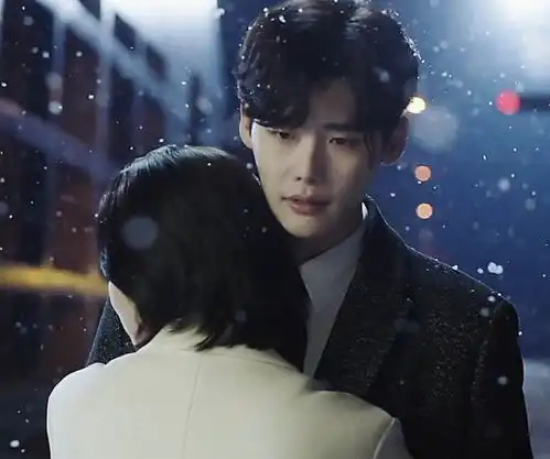 作为铲屎官,一个月总有30天是在清理猫毛