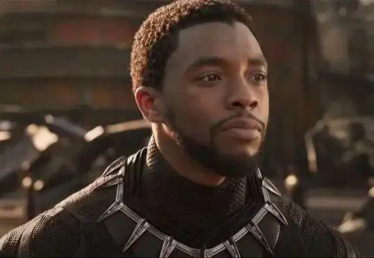 黑豹2成也黑豹,败也黑豹
