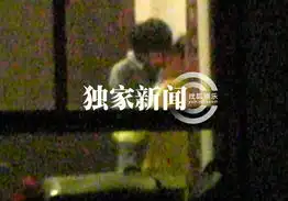 董洁王大治激情拥吻照火爆恋情正式曝光
