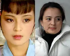 红楼梦女星今昔对比照娱乐星图