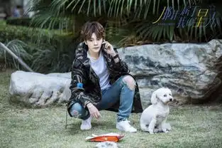 那抹属于我的星光终于定档了,徐海乔的又一部青春偶像剧