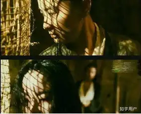 王家卫的东邪西毒为什么评价那么高好看在哪里