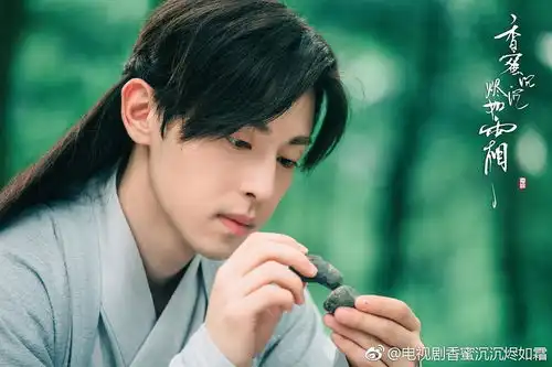 我的收藏
