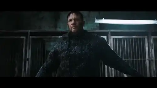 毒液3全球首支预告和海报10月25日上映
