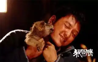 如果哈士奇去演狼图腾别笑,我只是来搞笑的

