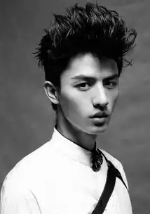 丽姬传电视剧演员表及主要角色介绍图
