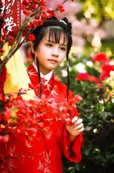 小戏骨红楼梦影视剧照
