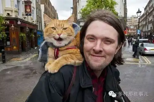 落魄时他救了一只受伤的流浪猫,没想到这只猫天赋异禀,给他挣来了亿万的身家......