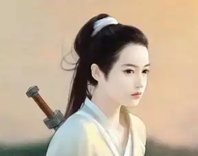 一个傻女孩的侠女梦陆元元