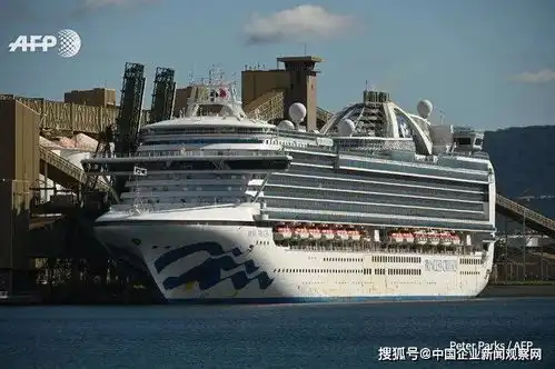 邮轮业至暗时刻7艘邮轮近6000名乘客仍流浪,邮轮业何以至此
