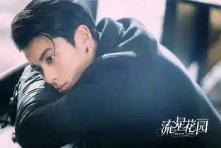 流星花园王鹤棣弹幕与网友互动分手戏引观众泪目演技获赞
