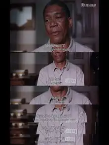 肖申克的救赎瑞德的三次假释
