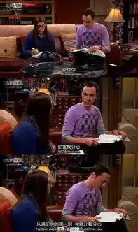 生活大爆炸完结,你的青春都在这些台词文案里
