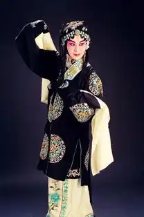 魏海敏为您讲述梅派的动人之处艺堂课
