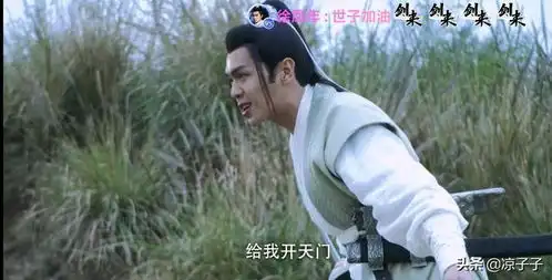 徐家四姐弟齐聚为母报仇,陈芝豹和南宫仆射是惊喜,徐凤年是真强