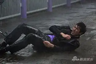 高以翔王沥川配音秀多国语言分不清