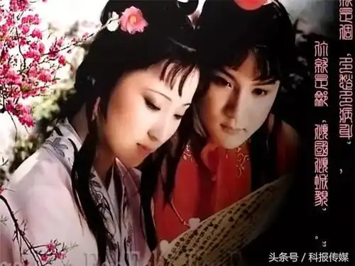 红楼梦中她爬的最高,薛宝钗把她当做偶像,但其实她什么都没有