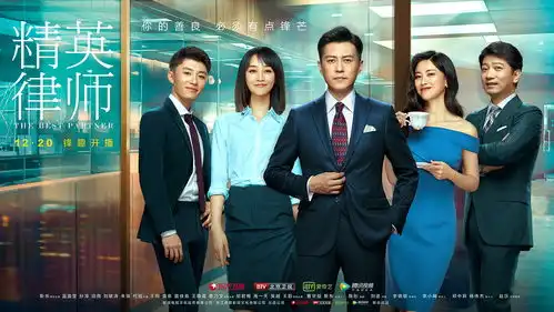 电视剧精英律师海报
