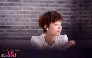 孙俪辣妈正传剧照
