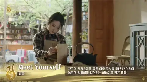 华策影视去有风的地方获首尔电视剧大赏最佳长剧
